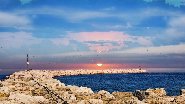 安博体育：田径裁判计时所需器材