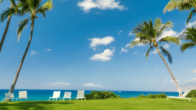 安博集团:健身房室内透视手绘