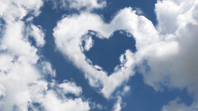 安博体育：室内健身运动七天