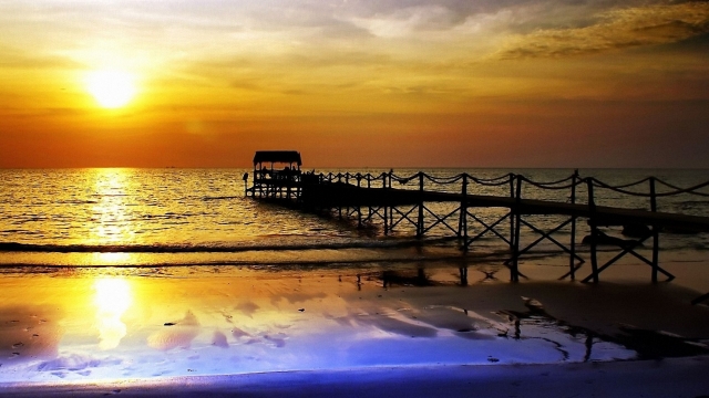 安博体育集团：女童室内健身操